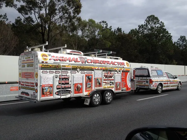 Mobile Animal Chiropractor, Queensland. 25 chiropractic practices to watch worldwide in 2027