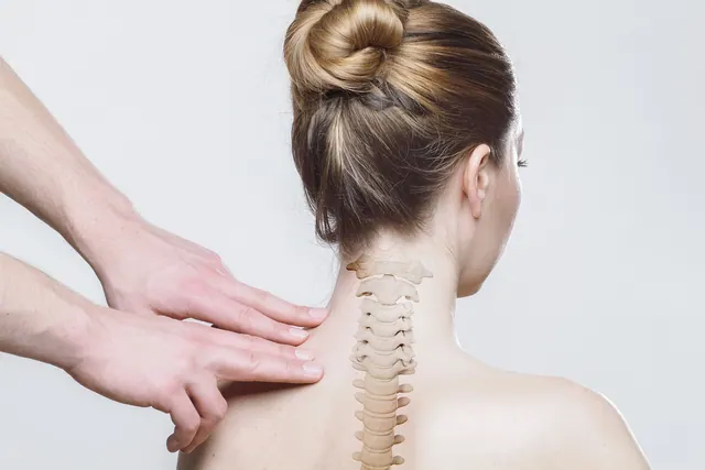 back, neck, spine, medical, body, massage, spine, spine, spine, spine, spine. Chiropractic practice startup and market guide for 2027
